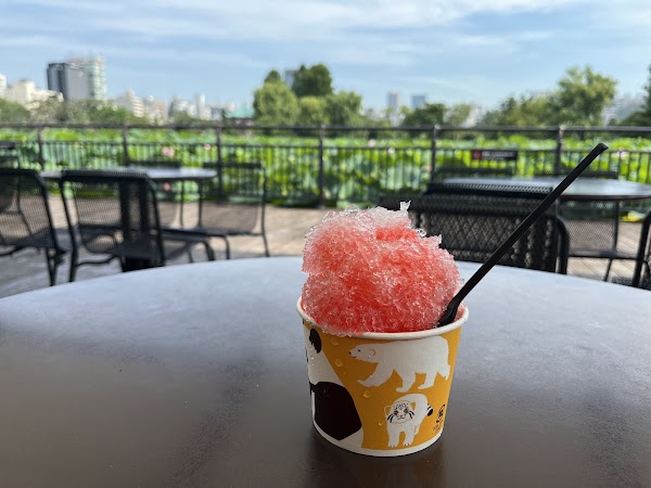カフェカメレオン（上野動物園 内）
